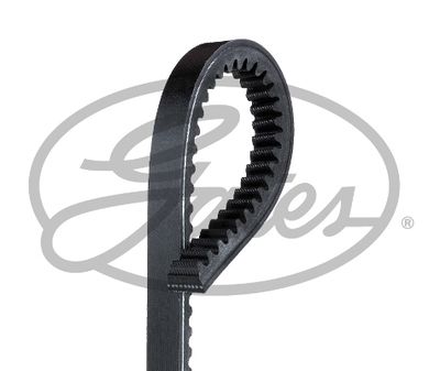 V-Belt GATES TR22434