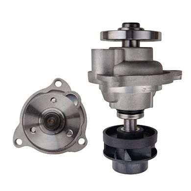 GATES WP0171 Water Pump, engine cooling
