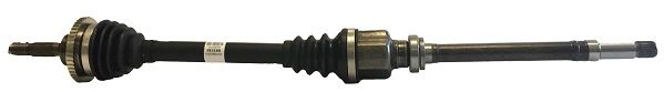 GENERAL RICAMBI PE3188 Drive Shaft