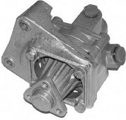 GENERAL RICAMBI PI0213 Hydraulic Pump, steering