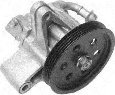 Hydraulic Pump, steering GENERAL RICAMBI PI0219