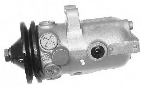 GENERAL RICAMBI PI0443 Hydraulic Pump, steering