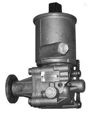 GENERAL RICAMBI PI0815 Hydraulic Pump, steering