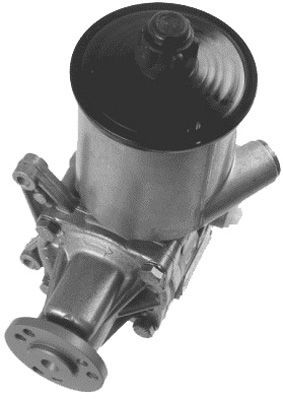 GENERAL RICAMBI PI0830 Hydraulic Pump, steering