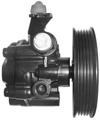 GENERAL RICAMBI PI1042 Hydraulic Pump, steering