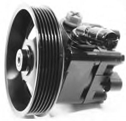 GENERAL RICAMBI PI1081 Hydraulic Pump, steering