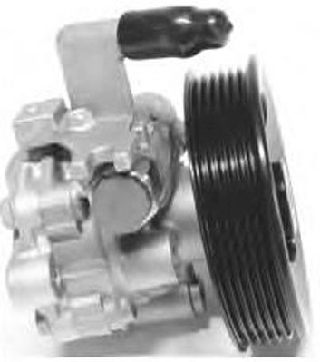 GENERAL RICAMBI PI1176 Hydraulic Pump, steering