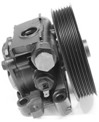 GENERAL RICAMBI PI1273 Hydraulic Pump, steering