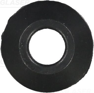 Seal Ring GLASER X07909-01