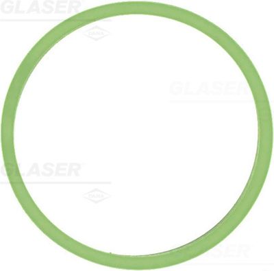 Gasket, intake manifold GLASER X59480-01