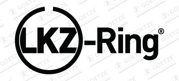 GOETZE ENGINE 08-449700-00 Piston Ring Kit