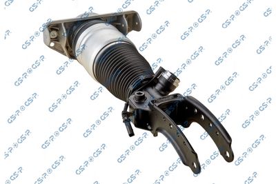 Air Suspension Strut GSP 30900131