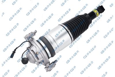 Air Suspension Strut GSP 30900251