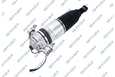 Air Suspension Strut GSP 30900252