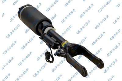 Air Suspension Strut GSP 30900280