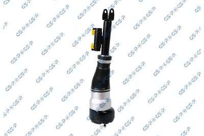 Air Suspension Strut GSP 30900301