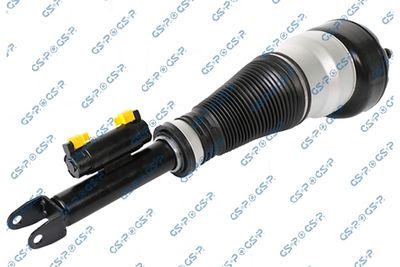 Air Suspension Strut GSP 30900302