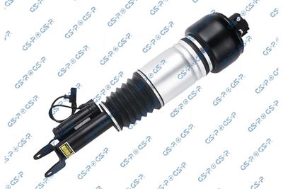 Air Suspension Strut GSP 30900392