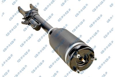 Air Suspension Strut GSP 30900440