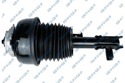 Air Suspension Strut GSP 30900491