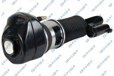 Air Suspension Strut GSP 30900701