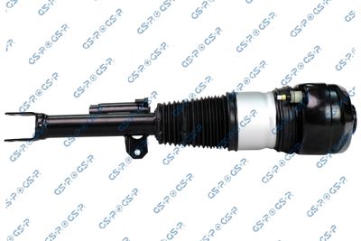 Air Suspension Strut GSP 30900801