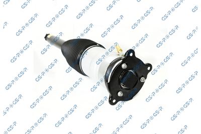 Air Suspension Strut GSP 30900920