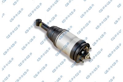 Air Suspension Strut GSP 30900950