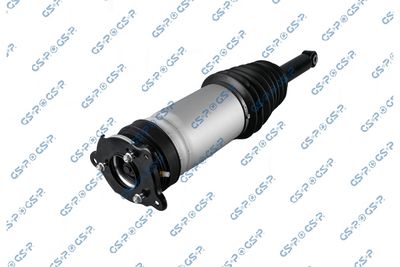 Air Suspension Strut GSP 30901010