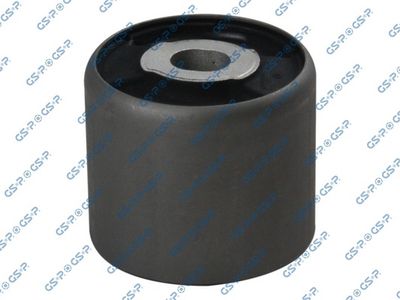 Mounting, differential GSP 510653