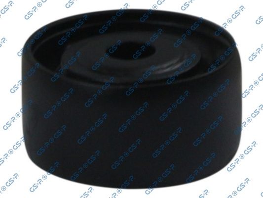 GSP 513321 Mounting, differential