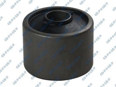 Mounting, control/trailing arm GSP 516033
