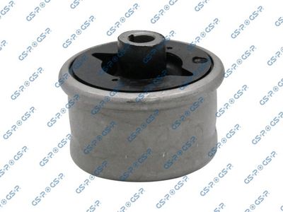 Mounting, control/trailing arm GSP 516463
