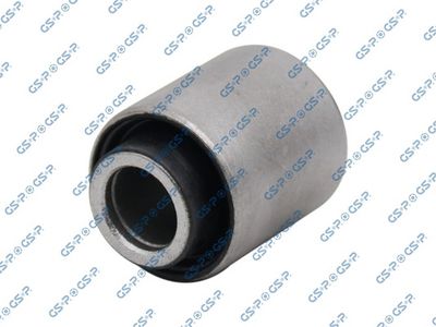 Mounting, control/trailing arm GSP 516660