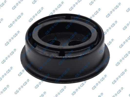 GSP 516738 Mounting, differential