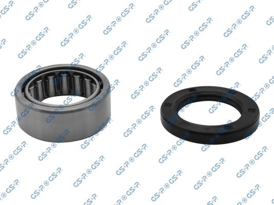 GSP GK1905 Wheel Bearing Kit