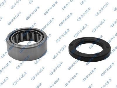 Wheel Bearing Kit GSP GK1905