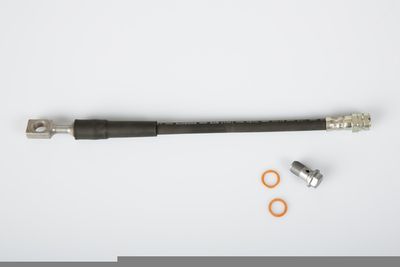 Brake Hose HELLA PAGID 8AH 355 469-861