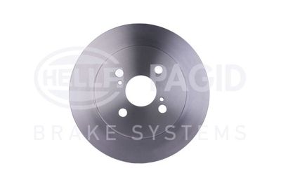 Brake Disc HELLA PAGID 8DD 355 113-601