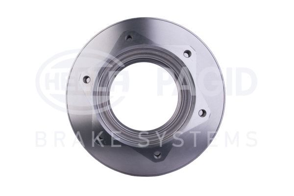 HELLA PAGID 8DD 355 117-551 Brake Disc