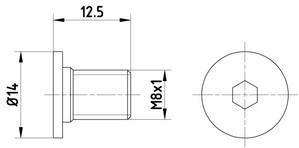 HELLA PAGID 8DZ 355 209-021 Bolt, brake disc
