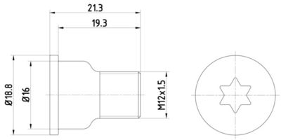 Bolt, brake disc HELLA PAGID 8DZ 355 209-051