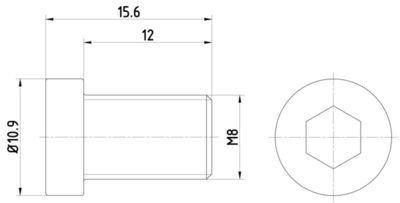Bolt, brake disc HELLA PAGID 8DZ 355 209-091