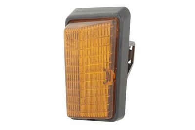 Auxiliary Direction Indicator HELLA 2BM 004 312-051