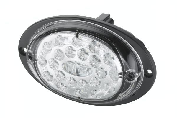 HELLA 2SD 343 390-401 Tail Light Assembly