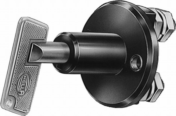 HELLA 6EK 002 843-002 Main Switch, battery
