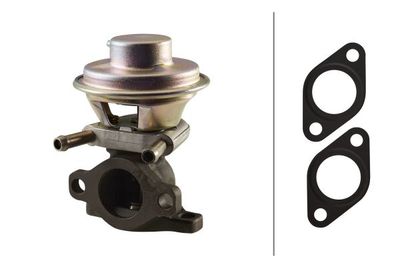 EGR Valve HELLA 6NU 010 171-481