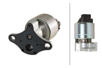 EGR Valve HELLA 6NU 010 171-971