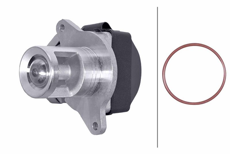 HELLA 6NU 014 862-091 EGR Valve