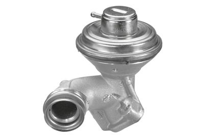 EGR Valve HELLA 6NU 010 171-031